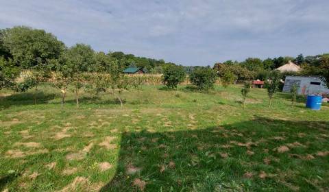 Land – for living, Sale, Nitra, Slovakia