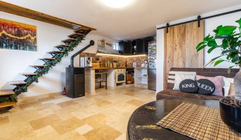 Cottage, Sale, Michalovce, Slovakia