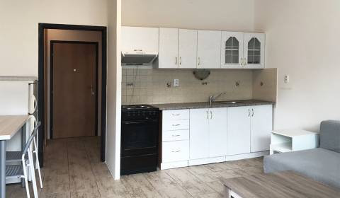 Single studio, Blagoevova, Rent, Bratislava - Petržalka, Slovakia