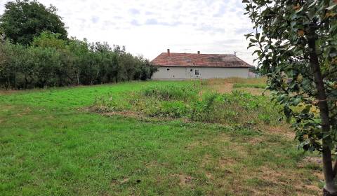 Land – for living, Vajka nad Žitavou, Sale, Nitra, Slovakia