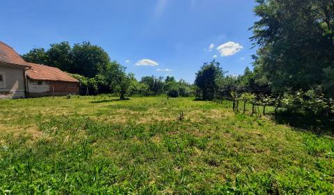 Land – for living, Melek, Sale, Nitra, Slovakia