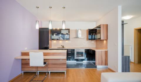 One bedroom apartment, Opletalova, Rent, Bratislava - Devínska Nová Ve