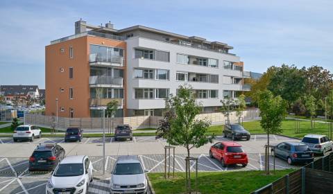 Rent One bedroom apartment, One bedroom apartment, Opletalova, Bratisl