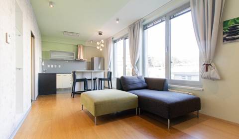Furnished 1-bdrm apartment in a new building in Karlová Ves for rent 