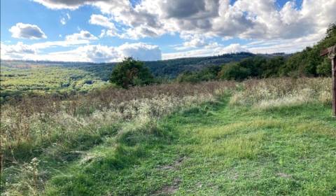 Recreational land, Sale, Pezinok, Slovakia