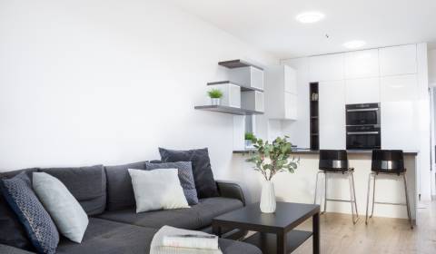 One bedroom apartment, Béžová, Rent, Bratislava - Petržalka, Slovakia