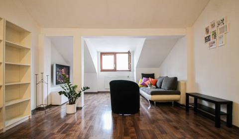 Fully furnished and renovated 1-bdrm apartment 