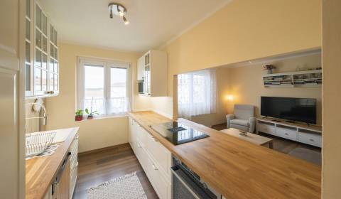 Beautiful renovated 2-bdr apt in the center of Hainburg 77m2, balcony