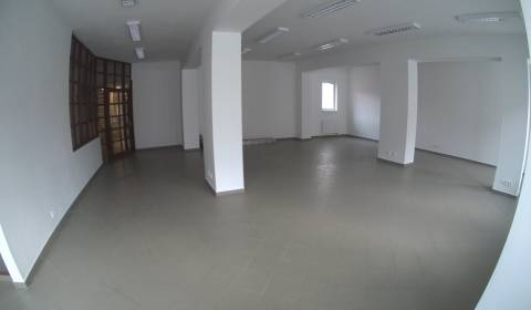 Offices, Pešia zóna, Rent, Nitra, Slovakia