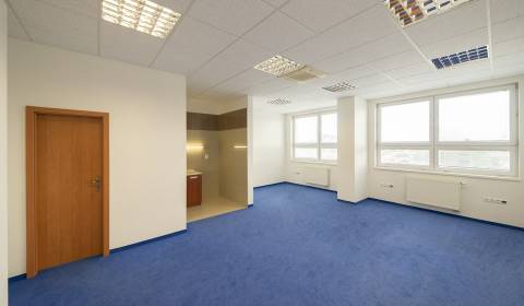 Large office, kitchen, toilet, shower, 56m2, 4th floor, AB3, parking