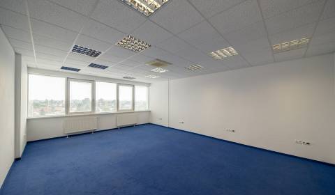 Separate office, toilets in the hallway, 43m2, 5th floor, AB3 parking