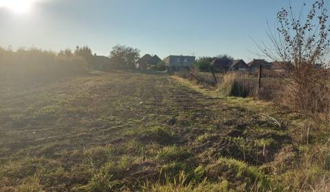 Land – for living, Sale, Nové Zámky, Slovakia