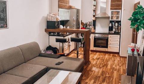 One bedroom apartment, Kresánkova, Rent, Bratislava - Karlova Ves, Slo