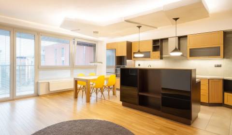 Rent Two bedroom apartment, Two bedroom apartment, Na križovatkách, Br