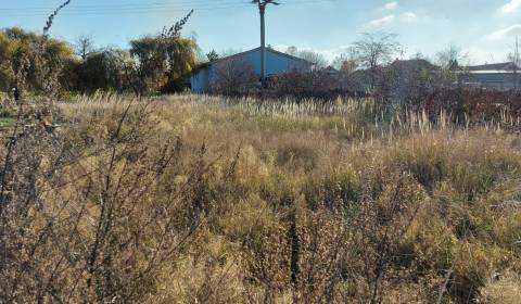 Land – for living, Sale, Nové Zámky, Slovakia