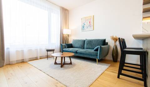 EXCLUSIVE METROPOLITAN I 1bdrm apartment for rent, SKYPARK