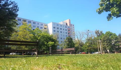 One bedroom apartment, Gallayova, Sale, Bratislava - Dúbravka, Slovaki