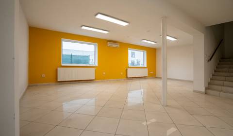 Commercial premises, Bratislavská, Rent, Nitra, Slovakia