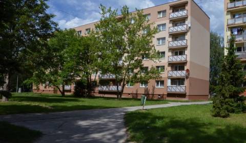Searching for Two bedroom apartment, Two bedroom apartment, Tulská, Ži
