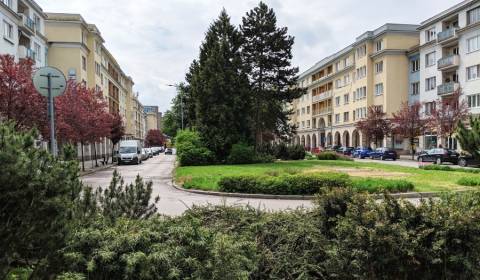 Searching for One bedroom apartment, One bedroom apartment, Antona Ber