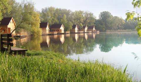 Sale Cottage, Cottage, Nové Zámky, Slovakia