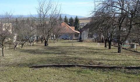 Sale Land – for living, Land – for living, ., Topoľčany, Slovakia