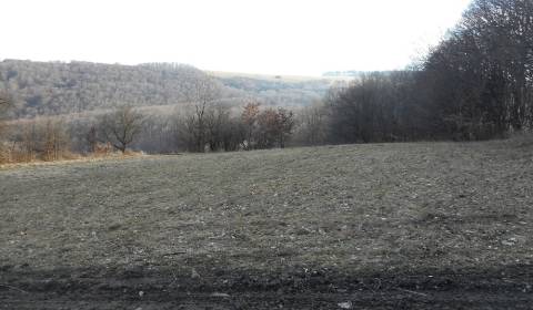 Agrarian and forest land, Nová Bošáca, Sale, Nové Mesto nad Váhom, Slo