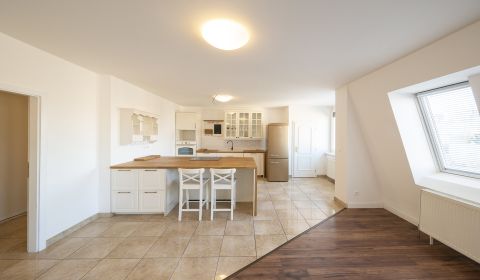 Sunny 4bdr apt 160m2, roof terrace 108m2, balcony and garage