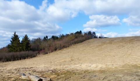 Sale Development land, Development land, Prešov, Slovakia
