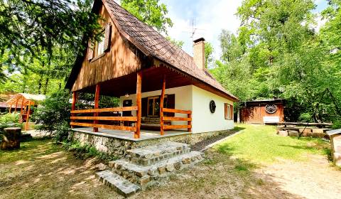 Sale Cottage, Malacky, Slovakia