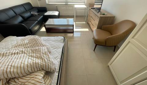 Studio, nové zámky, Rent, Nové Zámky, Slovakia