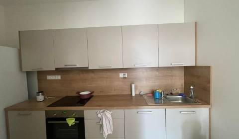 Studio, nové zámky, Rent, Nové Zámky, Slovakia