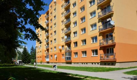 Searching for One bedroom apartment, One bedroom apartment, Kubínska, 