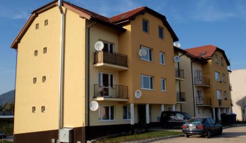 Searching for One bedroom apartment, One bedroom apartment, Javorová, 
