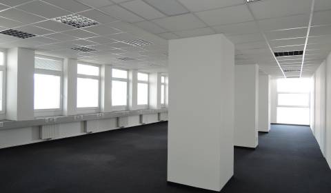Offices, Miletičova, Rent, Bratislava - Ružinov, Slovakia