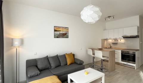 Studio, Žltá, Sale, Bratislava - Petržalka, Slovakia