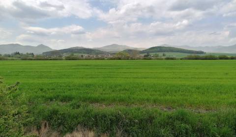 Agrarian and forest land, Ležiachov, Sale, Martin, Slovakia