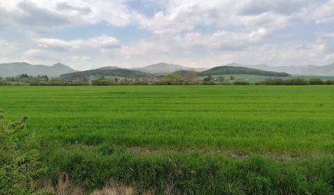 Sale Agrarian and forest land, Agrarian and forest land, Ležiachov, Ma