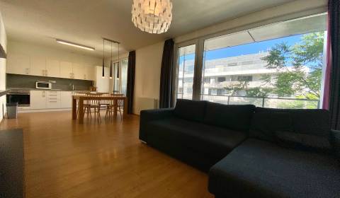 One bedroom apartment, Pajštúnska, Sale, Bratislava - Petržalka, Slova