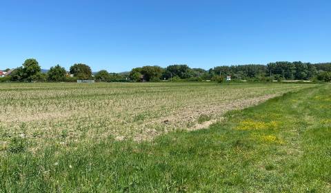Land – for living, Petrovce nad Laborcom, Sale, Michalovce, Slovakia