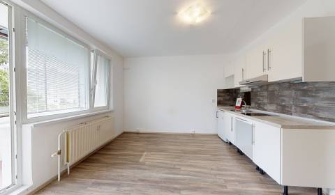 Single studio, Vígľašská, Sale, Bratislava - Petržalka, Slovakia