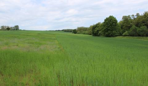 Land – for living, Sale, Košice-okolie, Slovakia