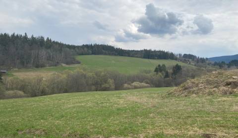Sale Recreational land, Recreational land, Dolný Kubín, Slovakia