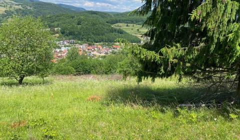 Sale Land – for living, Detva, Slovakia