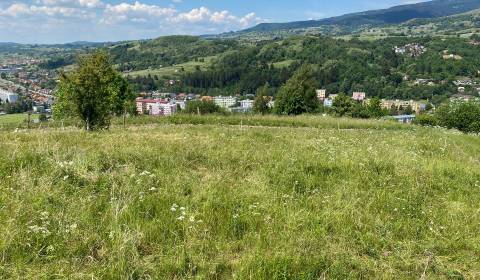 Sale Recreational land, Detva, Slovakia