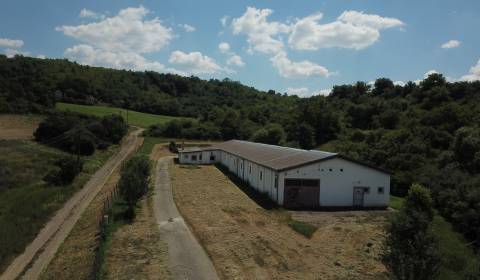 Sale Special estates, Special estates, Levice, Slovakia