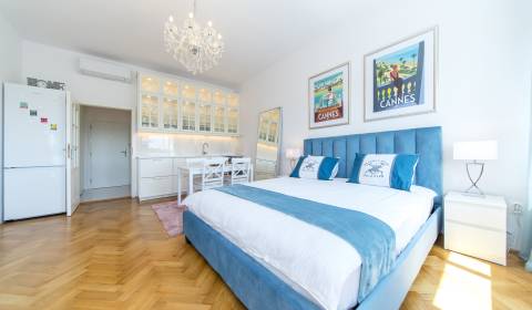 Luxurious 1room apt, 32m2, overlooking the Dunaj