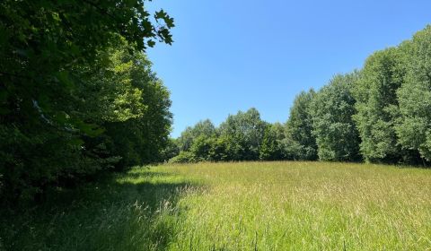 Sale Recreational land, Recreational land, Nimnica, Púchov, Slovakia