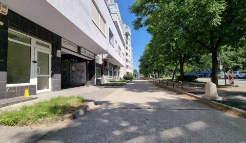 Commercial premises, Tomášikova, Rent, Bratislava - Ružinov, Slovakia
