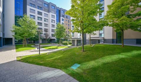 One bedroom apartment, Žižkova, Sale, Bratislava - Staré Mesto, Slovak